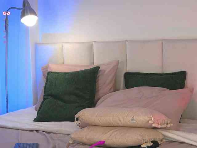 Carol-Ferrer webcam