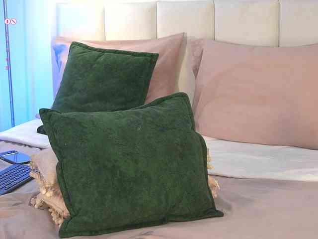 Modèle: Carol-Ferrer