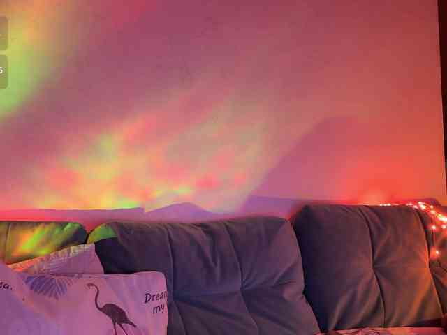 SortAngela webcam