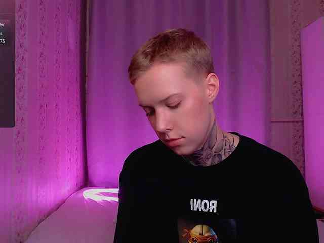 tezes webcam