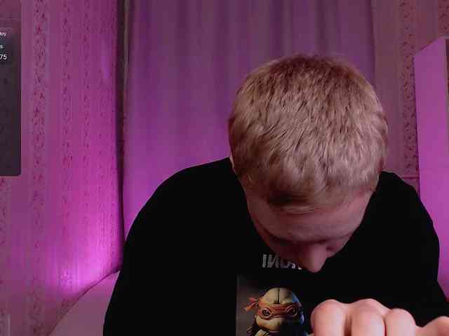 tezes webcam