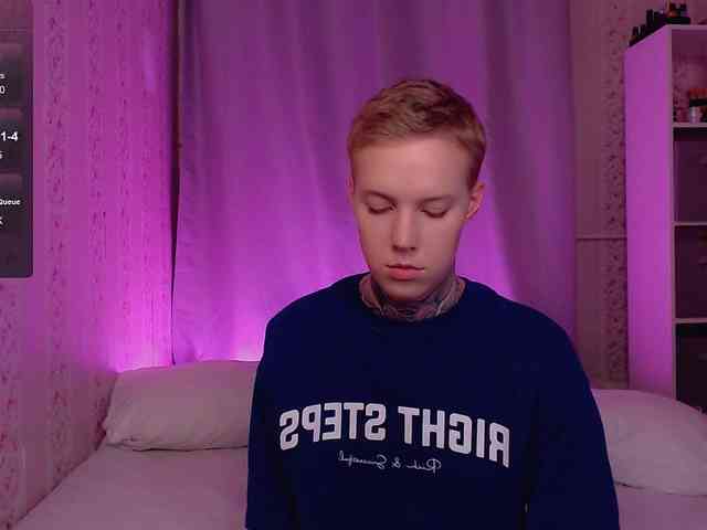 tezes webcam