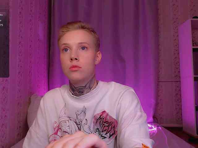 tezes webcam