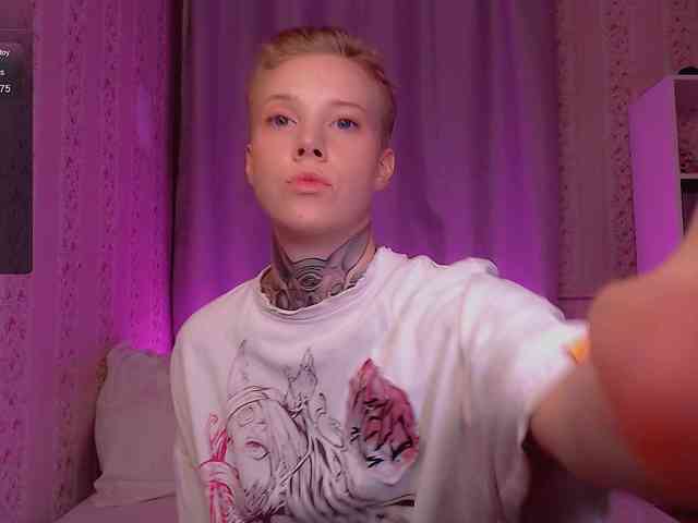 tezes webcam