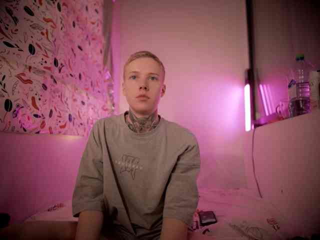 tezes webcam