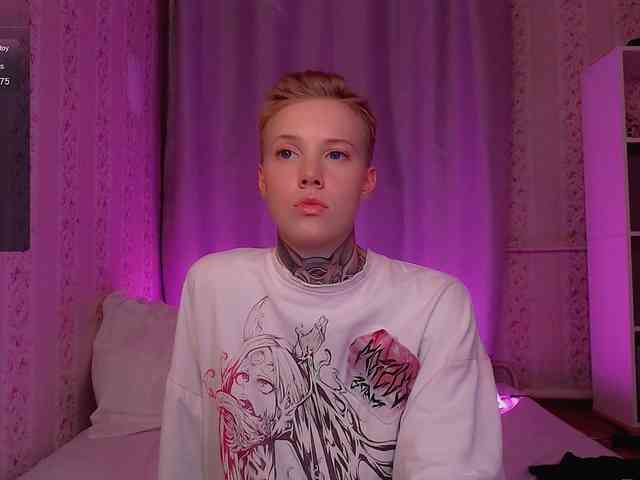 tezes webcam