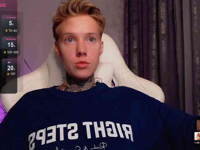 tezes webcam