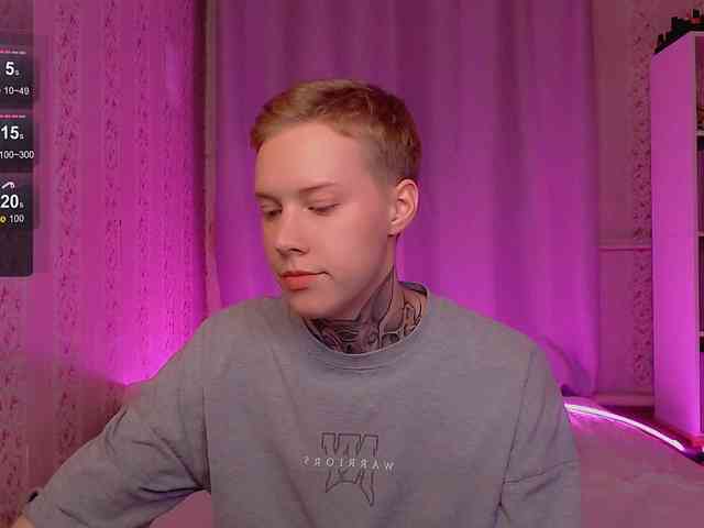 tezes webcam