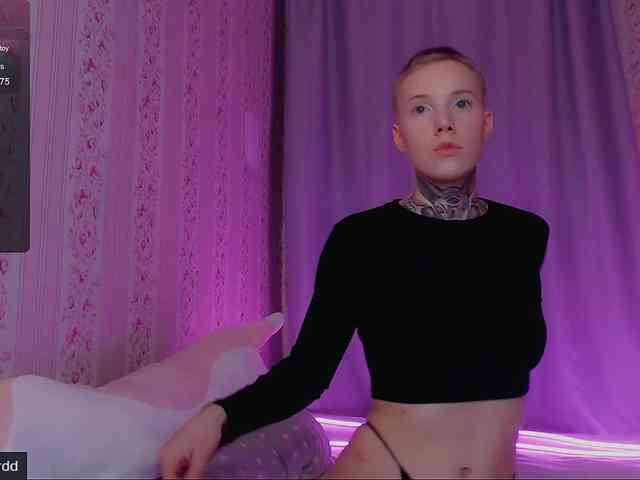 tezes webcam
