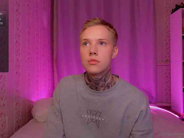 tezes webcam
