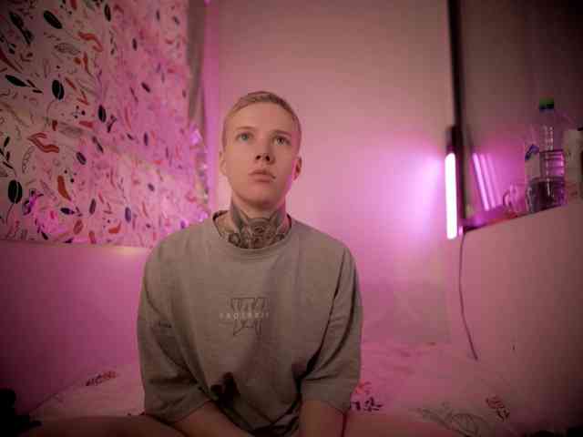 tezes webcam