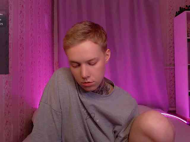 tezes webcam