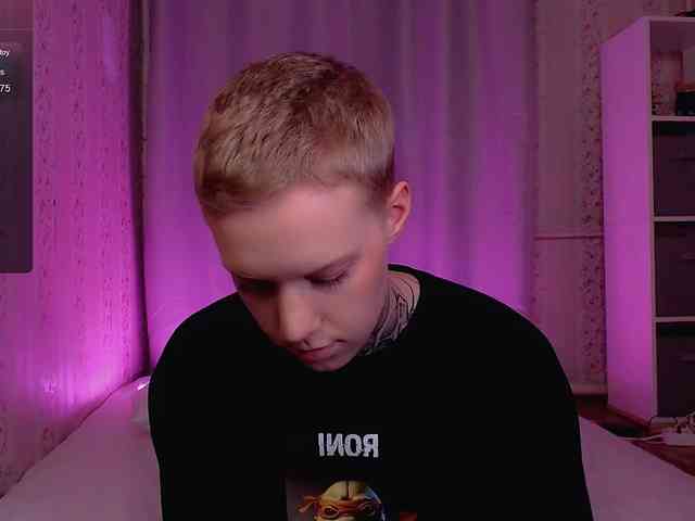 tezes webcam