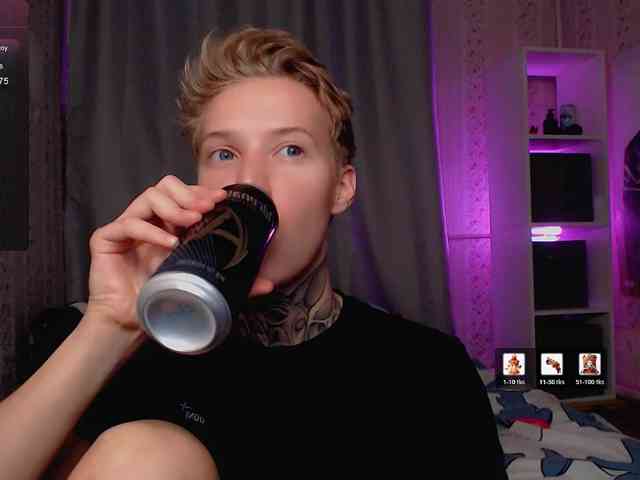 tezes webcam