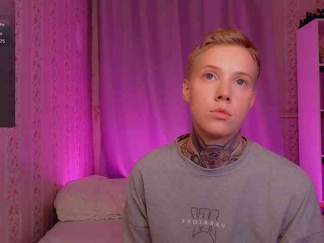tezes webcam