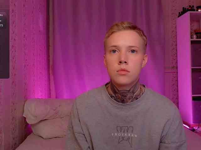 tezes webcam