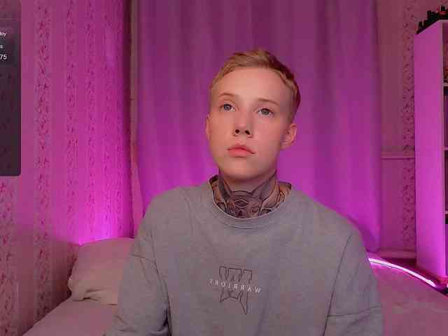 tezes webcam