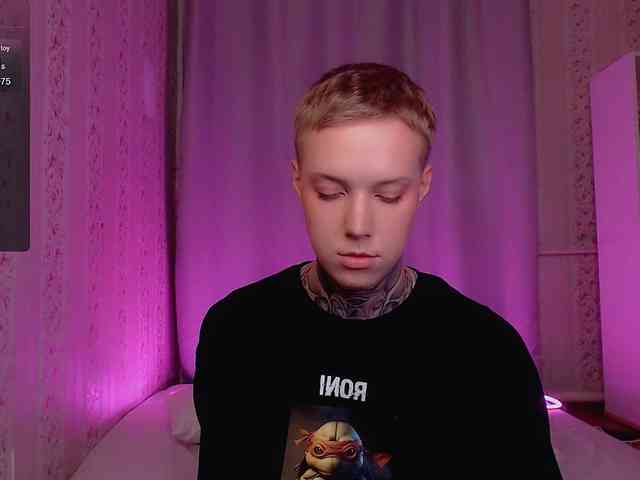 tezes webcam