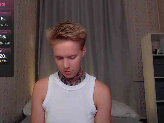 tezes webcam