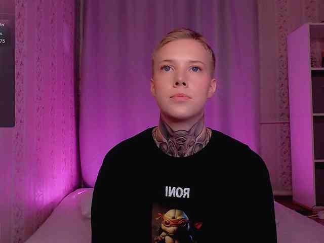 tezes webcam