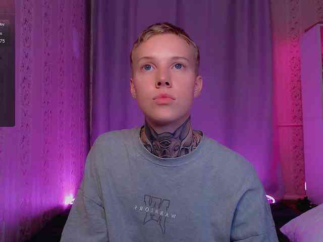tezes webcam
