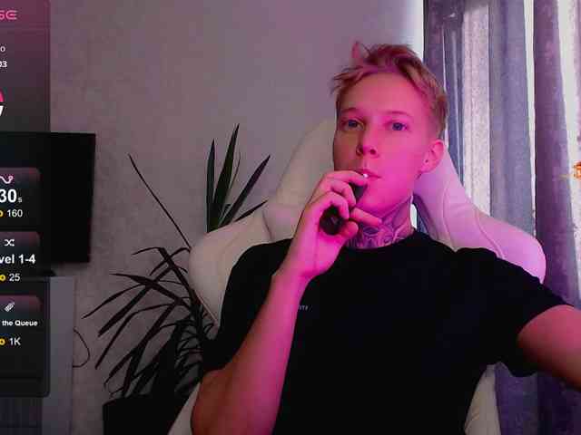 tezes webcam