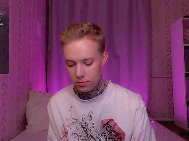 tezes webcam