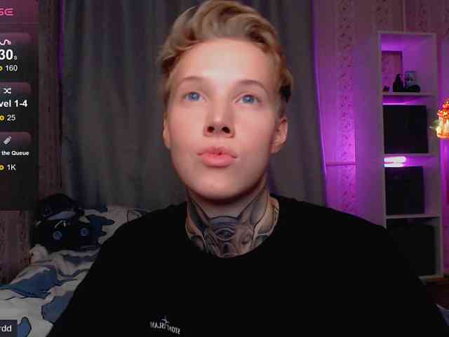 tezes webcam
