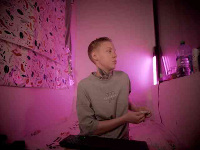 tezes webcam
