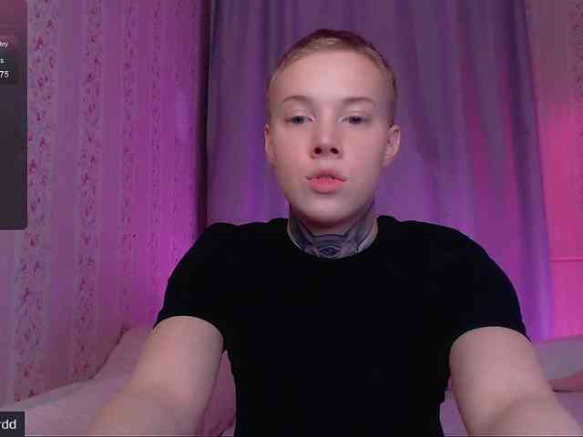 tezes webcam