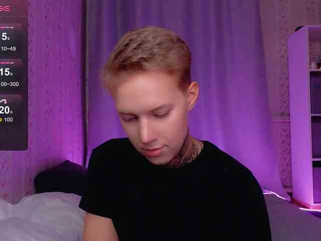 tezes webcam