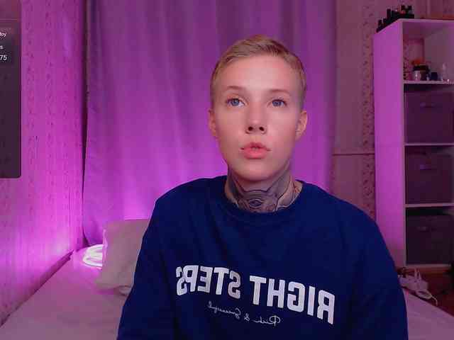 tezes webcam