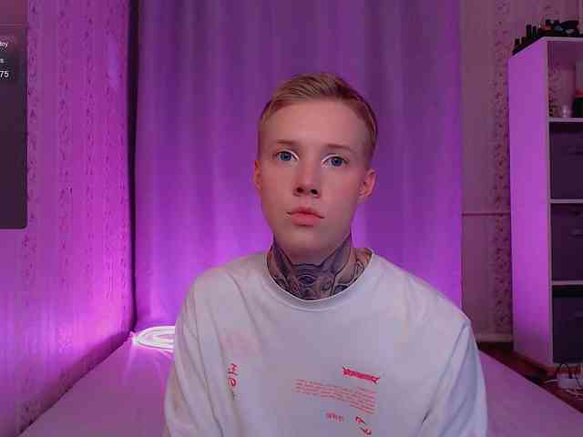 tezes webcam