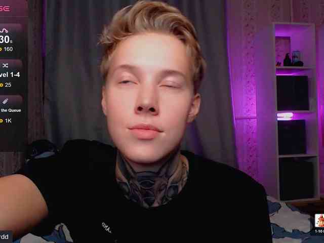 tezes webcam