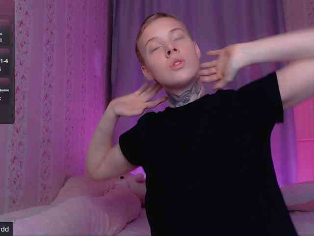 tezes webcam