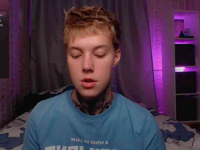 tezes webcam