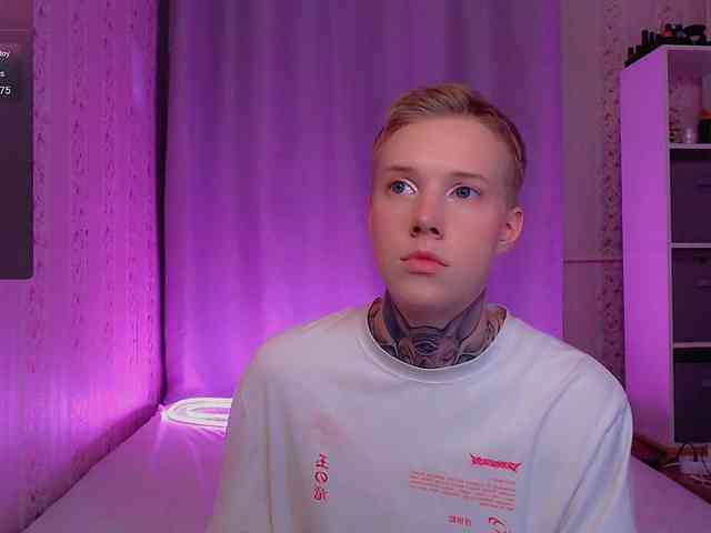 tezes webcam