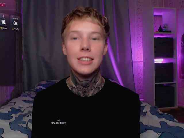 tezes webcam