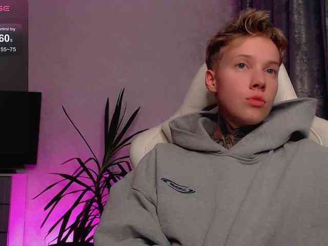 tezes webcam