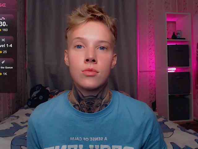 tezes webcam