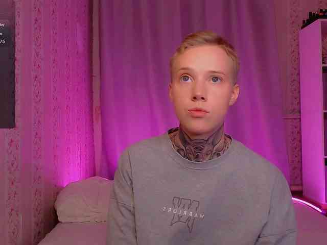 tezes webcam