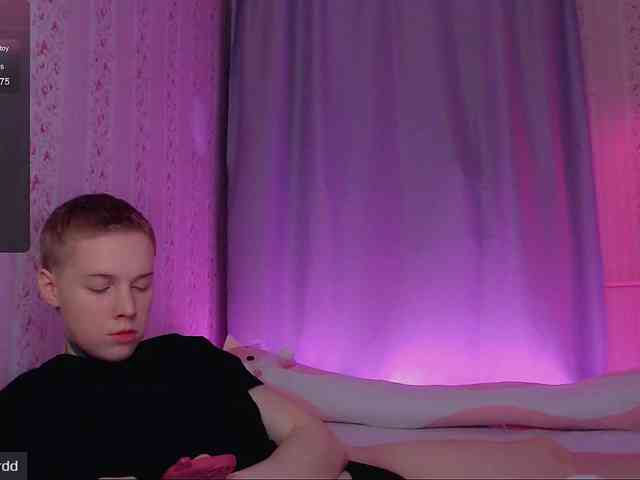 tezes webcam