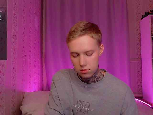 tezes webcam