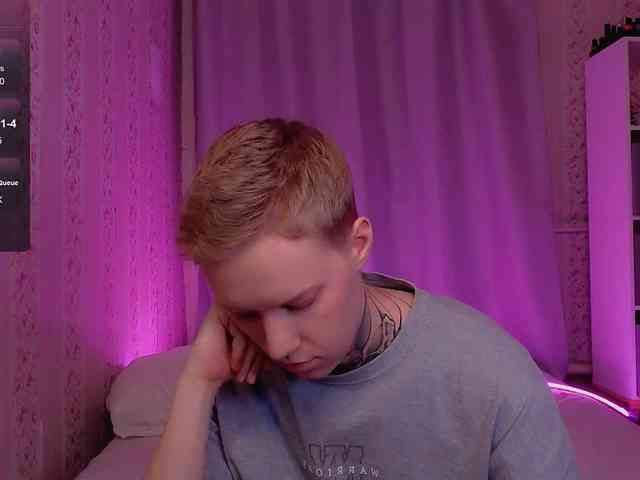 tezes webcam