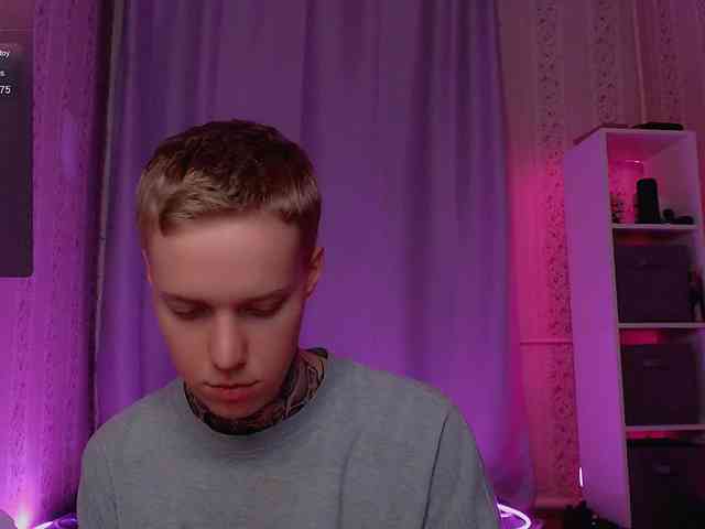 tezes webcam