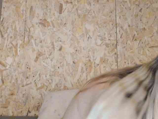 Cristina3112 webcam