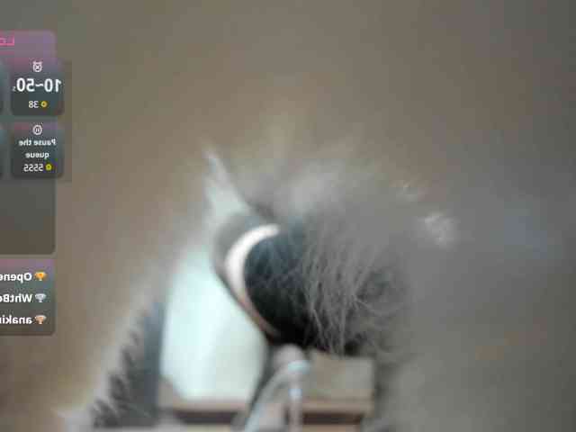 holyharlot webcam