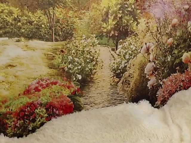 PavlaAdore's BongaCams show and profile