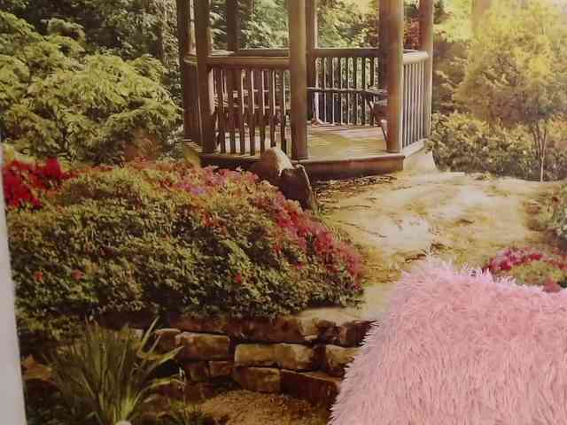 モデル: PavlaAdore