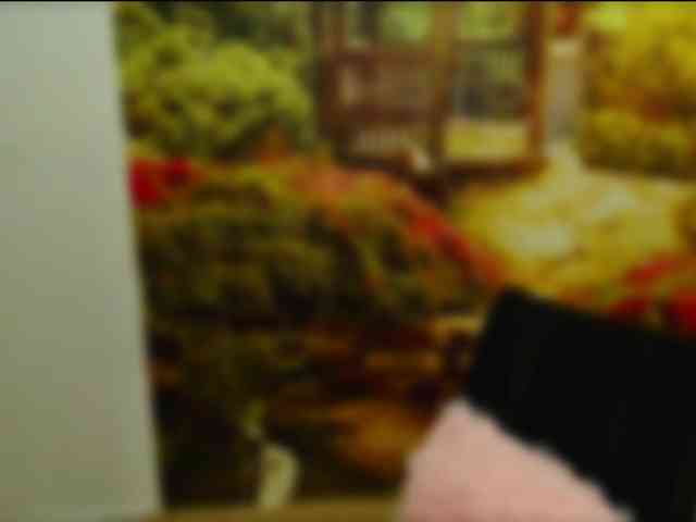 PavlaAdore webcam